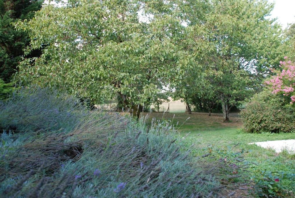 Uniquely Private Holiday Villa In The Charente Puyreaux Buitenkant foto