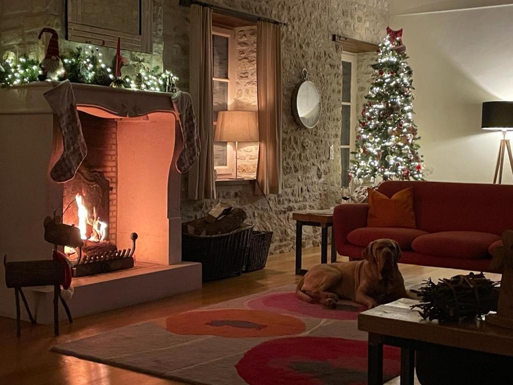 Uniquely Private Holiday Villa In The Charente Puyreaux Buitenkant foto